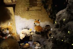 weihnachtsmaerkte-2011-duesseldorf-schaufenster-052