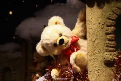 weihnachtsmaerkte-2011-duesseldorf-schaufenster-055