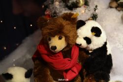 weihnachtsmaerkte-2011-duesseldorf-schaufenster-058