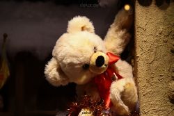 weihnachtsmaerkte-2011-duesseldorf-schaufenster-059