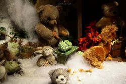 weihnachtsmaerkte-2011-duesseldorf-schaufenster-060