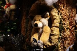 weihnachtsmaerkte-2011-duesseldorf-schaufenster-067