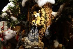 weihnachtsmaerkte-2011-duesseldorf-schaufenster-068