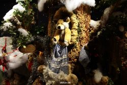 weihnachtsmaerkte-2011-duesseldorf-schaufenster-069