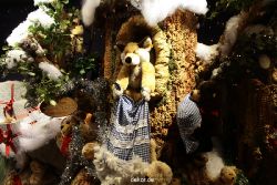 weihnachtsmaerkte-2011-duesseldorf-schaufenster-070