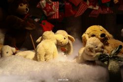 weihnachtsmaerkte-2011-duesseldorf-schaufenster-073