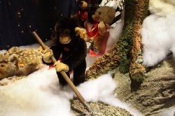 weihnachtsmaerkte-2011-duesseldorf-schaufenster-075
