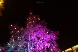 weihnachtsmaerkte-2011-koeln-alter-markt-074