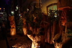 weihnachtsmaerkte-2011-koeln-alter-markt-094
