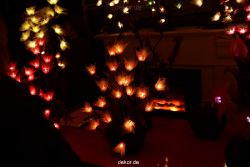 weihnachtsmaerkte-2011-koeln-domplatz-052