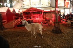 weihnachtsmaerkte-2012-wuppertal-lichtermarkt-034