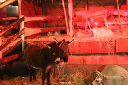 weihnachtsmaerkte-2012-wuppertal-lichtermarkt-038