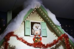 weihnachtsmaerkte-2013-duesseldorf-schaufenster-017