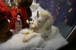 weihnachtsmaerkte-2013-duesseldorf-schaufenster-030