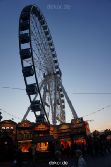 weihnachtsmaerkte-2013-duesseldorf-schlossturm-033