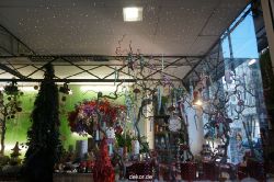 weihnachtsmaerkte-2013-duesseldorf-sternchenmarkt-003