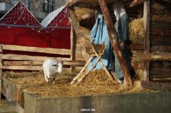 weihnachtsmaerkte-2013-wuppertal-elberfeld-tag-030