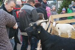 weihnachtsmaerkte-2013-wuppertal-elberfeld-tag-038