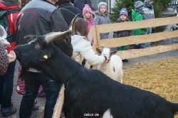 weihnachtsmaerkte-2013-wuppertal-elberfeld-tag-039