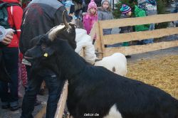 weihnachtsmaerkte-2013-wuppertal-elberfeld-tag-041