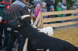 weihnachtsmaerkte-2013-wuppertal-elberfeld-tag-042