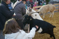 weihnachtsmaerkte-2013-wuppertal-elberfeld-tag-045