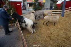 weihnachtsmaerkte-2013-wuppertal-elberfeld-tag-056