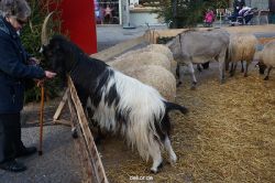 weihnachtsmaerkte-2013-wuppertal-elberfeld-tag-057