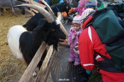 weihnachtsmaerkte-2013-wuppertal-elberfeld-tag-069