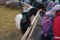 weihnachtsmaerkte-2013-wuppertal-elberfeld-tag-070
