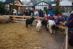 weihnachtsmaerkte-2013-wuppertal-elberfeld-tag-076