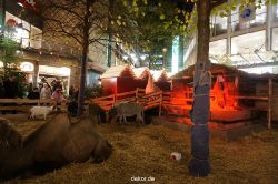 weihnachtsmaerkte-2013-wuppertal-elberfeld-034