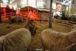 weihnachtsmaerkte-2013-wuppertal-elberfeld-036