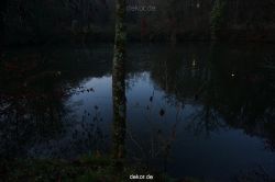 weihnachtsmaerkte-2013-wuppertal-schloss-luentenbeck-066
