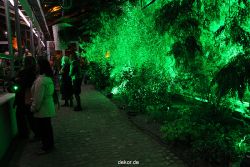 wuppertal-24h-live-2010-hardt-botanischer-garten-014