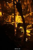 wuppertal-24h-live-2010-hardt-botanischer-garten-030
