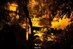 wuppertal-24h-live-2010-hardt-botanischer-garten-036