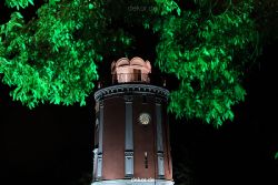 wuppertal-24h-live-2010-hardt-botanischer-garten-054