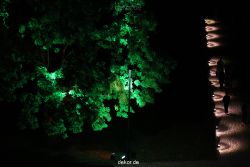 wuppertal-24h-live-2010-hardt-botanischer-garten-075