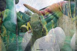 wuppertal-24h-live-2010-kluse-jurassic-park-006