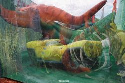 wuppertal-24h-live-2010-kluse-jurassic-park-014