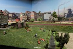 wuppertal-24h-live-2010-modelleisenbahn-079