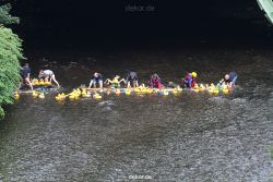 wuppertal-e400-islandufer-entenrennen1-020