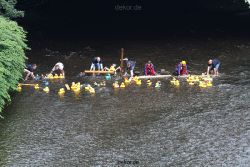 wuppertal-e400-islandufer-entenrennen1-027
