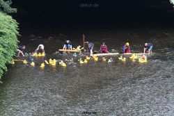 wuppertal-e400-islandufer-entenrennen1-028