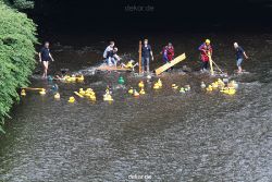 wuppertal-e400-islandufer-entenrennen1-034