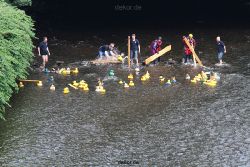 wuppertal-e400-islandufer-entenrennen1-035