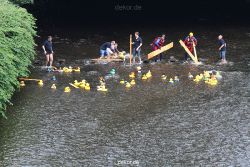 wuppertal-e400-islandufer-entenrennen1-036