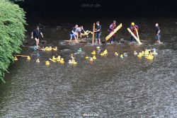 wuppertal-e400-islandufer-entenrennen1-037