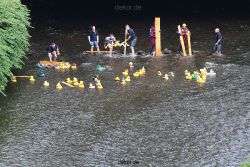wuppertal-e400-islandufer-entenrennen1-041